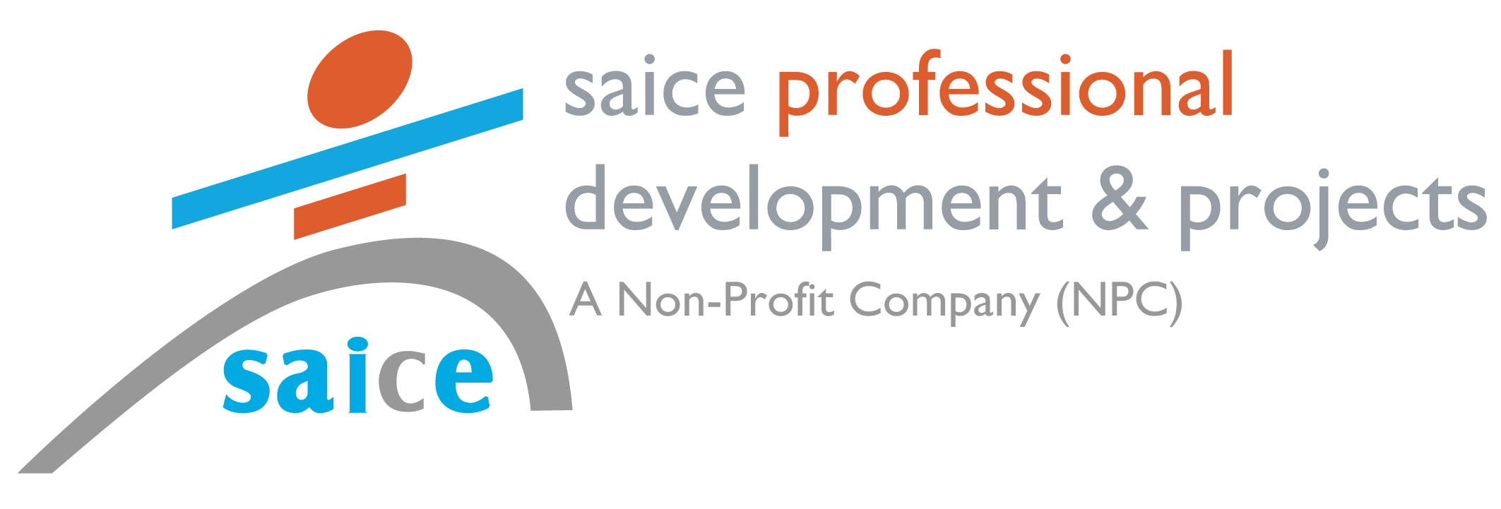 SAICE Professional Developments and Projects